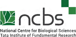 NCBS_logo