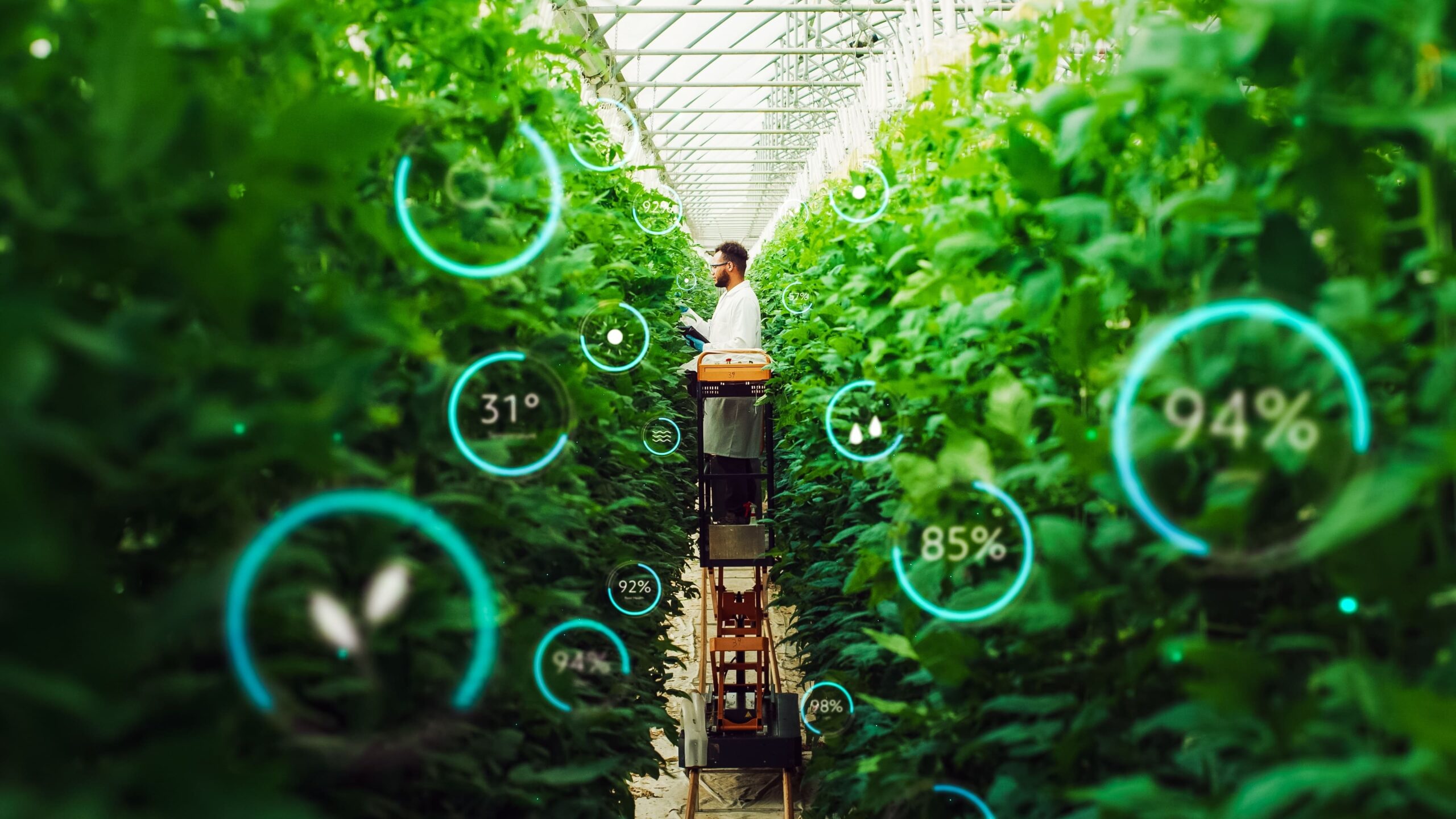 Cultivating Success: The Application of IoT Devices in Agriculture